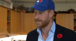 When asked by CTV News if there was anything he would like to say about the scandalous move, Harry said: 'Oh the LA Dodgers hat, hatgate. Firstly I would like to apologise to Canada for wearing it'