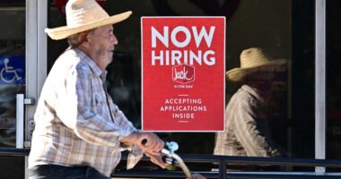 Private sector shed jobs in late October, new weekly ADP data shows