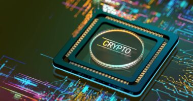 Professional and wealthy investors still plan to boost crypto holdings even after sharp slide