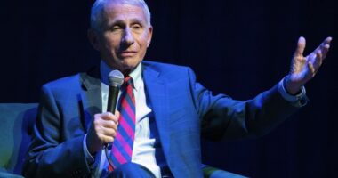 Prominent Virologist Told Intelligence Agencies COVID Likely Came From Lab, But Told Public It Didn't – HotAir