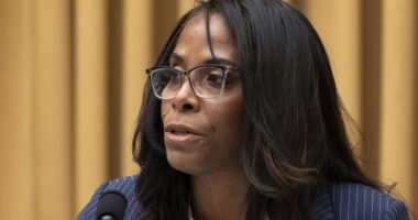 Protection Racket Media Circles the Wagons Around Epstein Pal Stacey Plaskett – HotAir