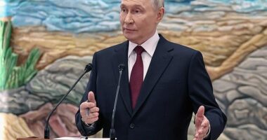 Putin says Russia is ready to fight 'until the last Ukrainian dies' if necessary and insists peace won't happen until Kyiv's troops withdraw