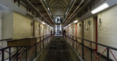 Quarter of Foreign Predators in UK Prisons Hail from Just Five Nations.