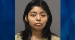 Questions Loom After 20-Year-Old Stabs Her Toddler Brother in Chest