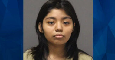 Questions Loom After 20-Year-Old Stabs Her Toddler Brother in Chest