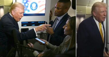 Donald Trump told a female reporter to be 'quiet, piggy' after she asked about the release of the Jeffrey Epstein files. The President, who is facing mounting pressure from lawmakers in his own party for the DOJ to publish all investigative documents related to the sexual offender, was being quizzed by journalists on Air Force One on Friday.