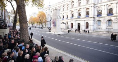 Remembrance Day LIVE: Veterans prepare to march past the Cenotaph after King Charles and Royal Family lay wreaths honouring those killed in conflict