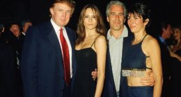 Jeffrey Epstein wrote a paranoid email to himself months before his death rambling about Donald Trump. The disgraced financer billionaire claimed that the President had often visited his home in Palm Beach, in the email sent to himself in February 2019. '[REDACTED] worked at Mar-a-Lago. Trump knew of it, and came to my house many times during that period,' Epstein wrote, six months before he was found hanged at the Metropolitan Correctional Center in Manhattan. 'He never got a massage,' the financier said.