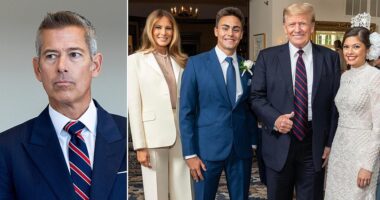 As the ongoing government shutdown threatens to halt air traffic across the US, Transportation Secretary Sean Duffy is set to attend his son-in-law's congressional campaign event. Michael Alfonso, Duffy's son-in-law, is hosting a meet-and-greet event in Wausau, Wisconsin , on Tuesday, according to a copy of the invitation posted online. The morning event with coffee and pastries is scheduled on Veterans Day, a federal holiday. But Duffy's scheduled appearance at his relative's campaign event has reportedly upset some in President Donald Trump 's orbit.