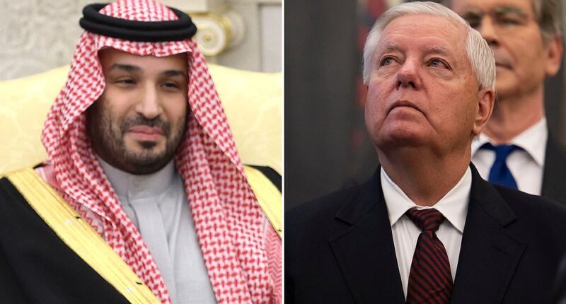 Saudi Crown Prince Mohammed bin Salman has reportedly canceled his meeting with US Senators this week over concerns about who might show up. The Saudi leader, commonly referred to as MBS, is on an official state visit to the US t to talk to officials about defense agreements, the Middle Eastern country's pledged $600 billion investment into the US and a potential civilian nuclear deal. On Wednesday, MBS was slated to meet with a group of Senators on Capitol Hill to further ties between the legislators and Saudi Arabia .