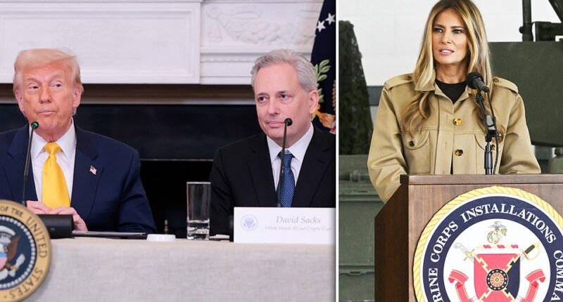 To ensure its control over AI regulation, the Trump administration is considering executive action that could pit the Justice Department against states making their own tech rules. The order would help President Donald Trump's team steer AI regulation in the US by enabling the DOJ to go after states mulling their own AI regulations, according to draft of the order reviewed by Axios. David Sacks, Trump's AI and crypto czar, has warned that if states are given control over setting the rules on AI that the industry would be hampered by unnecessary regulation - an asymmetrical threat that does not imperil China 's booming industry.