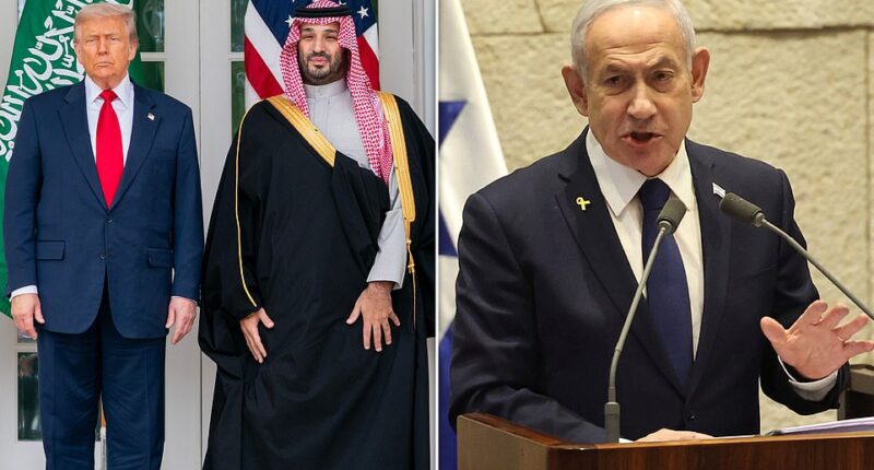 When the Saudi Crown Prince visited Donald Trump in the Oval Office last week, the White House rolled out the red carpet and showered him with charm, but once the doors closed the two leaders had an intense showdown over Israel . The president hoped his November 18 meeting with Mohammed bin Salman would normalize relations between Saudi Arabia and Israel. MBS stepped onto the red carpet on the west lawn of the White House as Trump greeted the Saudi leader with a flyover spectacle of American F-35 and F-15 fighter jets - a rare display reserved for America's closes allies.