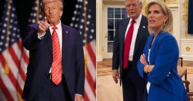 White House aides are trying to make up for President Donald Trump calling Americans' economic frustrations 'fake' by sending him out on tour. CNN reported Wednesday that Trump's advisers have been plotting for the president to travel across the country and deliver economic-focused speeches to improve his standing on the issue. They believe sending him out on the road for political rallies could help recapture voter enthusiasm. Aides are also considering pulling back on the president's international travel so he can stay focused on domestic concerns.