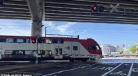 A Caltrain electric commuter train traveling beneath an overpass at a railroad crossing. As these trains approach crossings in Palo Alto, a deafening horn is blared at almost 110 decibels