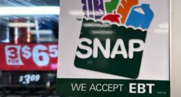 Rollins Slams Corrupt SNAP System – RedState