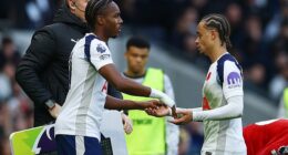 Mathys Tel came on for Tottenham against Manchester United but the substitution was booed