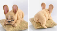 Russian Artists Create Adorable Felted Dogs That Have Their Own Characters