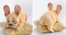 Russian Artists Create Adorable Felted Dogs That Have Their Own Characters