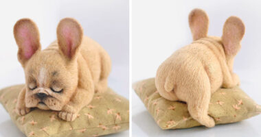 Russian Artists Create Adorable Felted Dogs That Have Their Own Characters