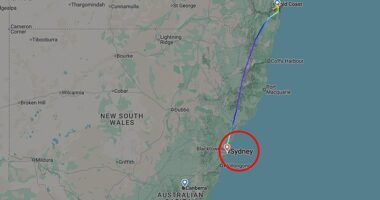 A packed Jetstar flight with almost 200 passengers onboard was diverted to Sydney after an 'unusual' smell was detected in the air vents (pictured)