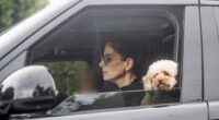 Sandra Bullock surfaced for a rare public sighting this week, accompanied by her 15-year-old son Louis as well as their beloved poodle Sweetie
