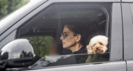 Sandra Bullock surfaced for a rare public sighting this week, accompanied by her 15-year-old son Louis as well as their beloved poodle Sweetie