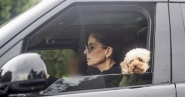 Sandra Bullock surfaced for a rare public sighting this week, accompanied by her 15-year-old son Louis as well as their beloved poodle Sweetie