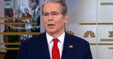 Scott Bessent has sent MAGA world wild after schooling a liberal news anchor on tariffs