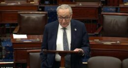 Sen. Chuck Schumer speaks on the Senate floor during a session addressing the government shutdown on Nov. 10, 2025