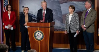 Immediately after the vote, Independent Senator Angus King held a press conference alongside the Democrats who, with him, voted with the Republicans to push the bill through