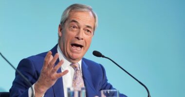 Seven out of 10 Tories believe party will prop up a Farage government