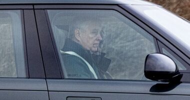 Drugs to enhance sexual experiences were found at Sandringham after Andrew (pictured) hosted a party for paedophile Jeffrey Epstein and Ghislaine Maxwell, according to a new book