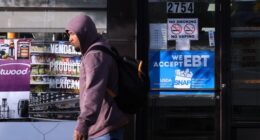 Shenanigans! Over a Dozen States Outmaneuver the Supreme Court and Take Full SNAP Money Anyway – RedState