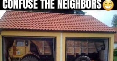 &ldquo;Shut Up And Take My Money&rdquo;: 40 Of The Newest &ldquo;Odditymall&rdquo; Finds To Empty Your Pockets