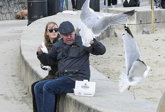 From maintaining eye contact to wearing stripy clothes , experts have already come up with all manner of tips to keep the pesky birds away. But a new study suggests the secret to getting rid of seagulls once and for all is much simpler – just shout at them. Pictured: Seagulls attacking a couple trying to enjoy their fish and chips on the esplanade at Lyme Regis