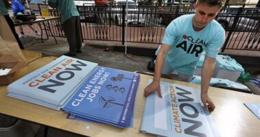 Sierra Club Is 'in a Downward Spiral' Thanks to Social Justice Activists – HotAir