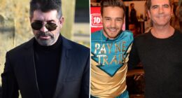 Simon Cowell reacts to claims he should be blamed for Liam Payne's death
