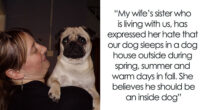 Sister Hates How Woman Treats Her Pug, Decides To Gift Him Away In Secret: “What Can We Do About It?”