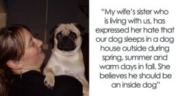 Sister Hates How Woman Treats Her Pug, Decides To Gift Him Away In Secret: “What Can We Do About It?”