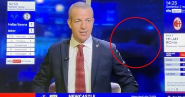 The pair can be seen celebrating behind the presenter as the last gasp goal went in on Sunday