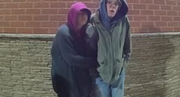 Bodycam footage captured the moment the 'Slender Man' stabber Morgan Geyser threw a tantrum as she was arrested with her transgender lover after cutting off her ankle monitor