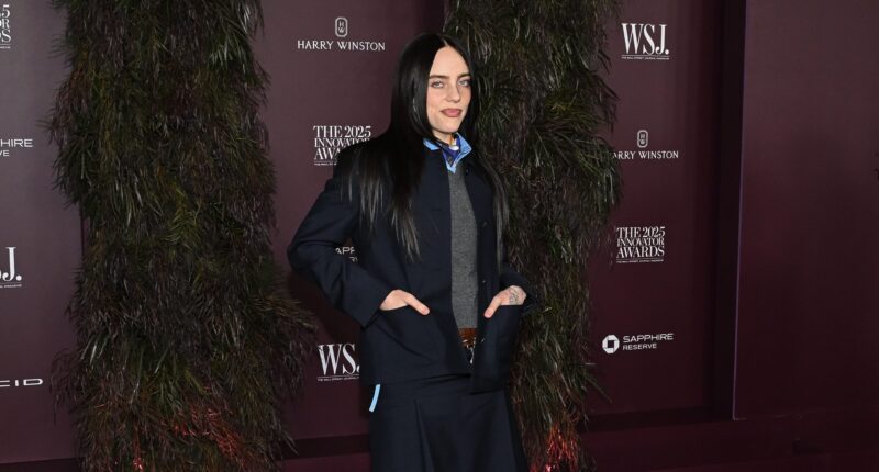 Billie Eilish Calls Out Billionaires Viral Speech Video WSJ Magazine Innovator Awards