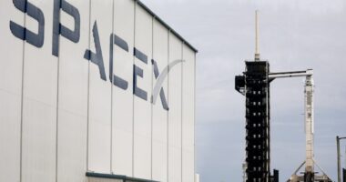 SpaceX hits a new milestone that shows why it’s dominating modern spaceflight