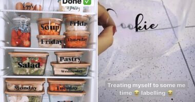 Stacey using her Cricut Joy Xtra for organisation