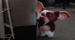 Gizmo in Gremlins 2: The New Batch