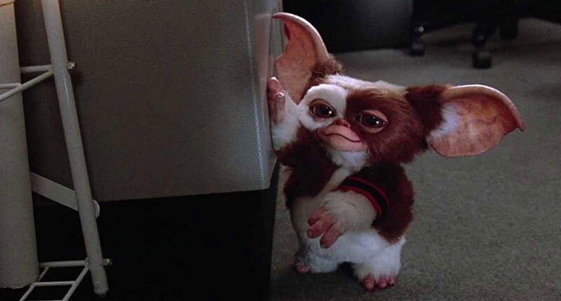 Gizmo in Gremlins 2: The New Batch