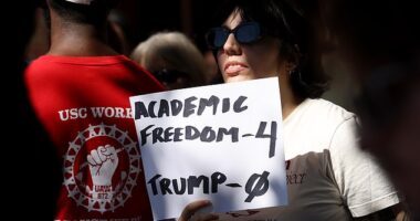 The number of new international college students in the United States has plunged by double digits, a new report by the Institute of International Education reveals ¿ even as domestic student numbers continue to rise