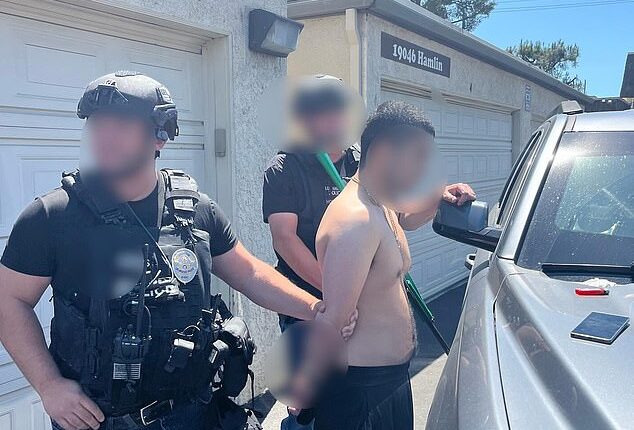 Suspect in brutal slaying of American Idol boss and her husband deemed unfit for trial