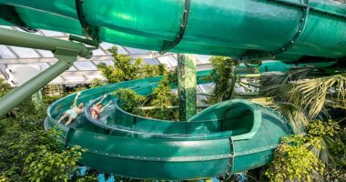 Center Parcs Europe is a separate company to Center Parcs UK - and there's significant savings to be had at the 28 parks across Netherlands, Belgium, France, Germany and Denmark (Pictured: Aqua Mundo, the equivalent of the UK parks' Subtropical Swimming Paradise)