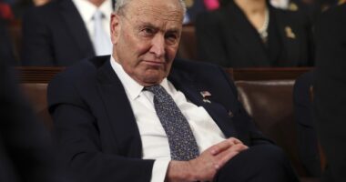 Swing Voters Have Some Bad News for Dems With Blowback Over Shutdown – RedState